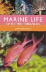Marine Life of the Mediterranean By Lawson Wood Cover Image