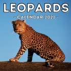 Leopards Calendar 2021: 16-Month Calendar, Cute Gift Idea For Leopard Lovers Women & Men By Helpful Potato Press Cover Image