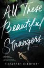 All These Beautiful Strangers: A Novel By Elizabeth Klehfoth Cover Image