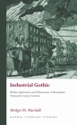Industrial Gothic: Workers, Exploitation and Urbanization in Transatlantic Nineteenth-Century Literature (Gothic Literary Studies) Cover Image