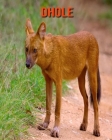 Dhole: Beautiful Pictures & Interesting Facts Children Book About Dhole Cover Image