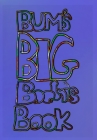 The Big Boobnis Book By Icy Cover Image