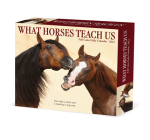 What Horses Teach Us 2022 Box Calendar, Daily Desktop Cover Image