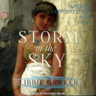 Storm in the Sky By Heather Wilds (Read by), Libbie Hawker Cover Image
