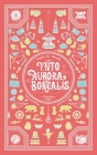 Into Aurora Borealis (Charly's Edition): Poems Cover Image