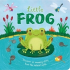 Nature Stories: Little Frog-Discover an Amazing Story from the Natural World: Padded Board Book By IglooBooks, Gisela Bohórquez (Illustrator) Cover Image