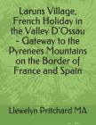 Laruns Village, French Holiday in the Valley D'Ossau - Gateway to the Pyrenees Mountains on the Border of France and Spain By Llewelyn Pritchard Cover Image