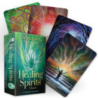 The Healing Spirits Oracle: A 48-Card Deck and Guidebook By Gordon Smith, Naomi Walker (Illustrator) Cover Image