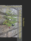 The Photography of Sky Boivin: Hope Cemetery, Worcester, MA II By Sky Boivin (Photographer), Sky Boivin Cover Image
