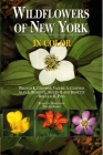 Wildflowers of New York in Color By William Chapman, Valerie A. Chapman, Alan Bessette Cover Image
