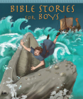 Bible Stories for Boys Cover Image