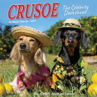 Crusoe the Celebrity Dachshund 2023 Wall Calendar By Ryan Beauchesne (Created by) Cover Image
