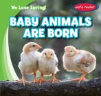 Baby Animals Are Born (We Love Spring!) By Delores Soltaire Cover Image