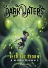 Into the Storm: A Mermaid's Journey (Dark Waters) By Julie Gilbert, Kirbi Fagan (Illustrator) Cover Image