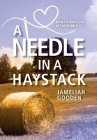 A Needle in a Haystack: How to Find Love in the Rubble By Jameliah Gooden Cover Image