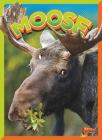 Moose (Wild Animal Kingdom) By Gail Terp Cover Image