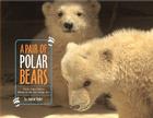 A Pair of Polar Bears: Twin Cubs Find a Home at the San Diego Zoo By Joanne Ryder, World-Famous San Diego Zoo (By (photographer)) Cover Image