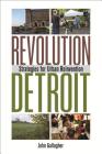 Revolution Detroit: Strategies for Urban Reinvention (Painted Turtle) By John Gallagher Cover Image