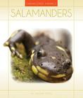 Salamanders (Endangered Animals) Cover Image