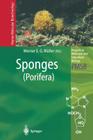 Sponges (Porifera) By Werner E. G. Müller (Editor) Cover Image