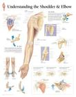 Understanding the Shoulder & Elbow Chart: Laminated Wall Chart Cover Image