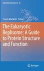 The Eukaryotic Replisome: A Guide to Protein Structure and Function (Subcellular Biochemistry #62) By Stuart MacNeill (Editor) Cover Image
