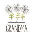 Grandma: DIY Handprint Book to Make By From the Rookery Cover Image
