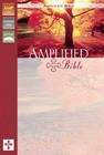 Amplified Bible-AM Cover Image