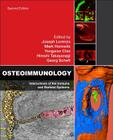 Osteoimmunology: Interactions of the Immune and Skeletal Systems By Joseph Lorenzo (Editor), Mark Horowitz (Editor), Yongwon Choi (Editor) Cover Image