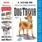 A Year of Dog Trivia Page-A-Day Calendar 2020 By Workman Calendars Cover Image