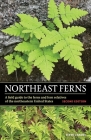 Northeast Ferns: A Field Guide to the Ferns and Fern Relatives of the Northeastern United States Cover Image