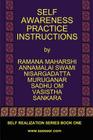 Self Awareness Practice Instructions: Self Realizaation Series, Book One By Ramana Maharshi, Nisargadatta Maharaj, Vasistha Cover Image
