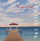 Trompe L'Oeil: Sky and Sea By Martin Benad, Ursula E. Benad Cover Image