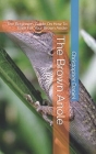 The Brown Anole: The Beginners Guide On How To Care For Your Brown Anole Cover Image