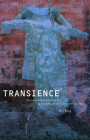 Transience: Chinese Experimental Art at the End of the Twentieth Century Cover Image