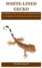 White-Lined Gecko: Everything You Need To Know About White Lined Gecko As Pet Emphasis On Feeding, Housing, Diet And Care By Blessing C. Special Cover Image