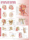 Anatomy and Injuries of the Head and Neck Anatomical Chart Cover Image