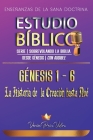 Estudio Bíblico Génesis 1-6 (Serie Sobrevolando la Biblia): Enseñanzas de la Sana Doctrina: La Historia de la Creación hasta Noé Cover Image