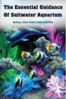 The Essential Guidance Of Saltwater Aquarium: Setup, Care And Compatibility: Saltwater Aquarium Guide Book Cover Image