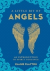 A Little Bit of Angels: An Introduction to Spirit Guidance Volume 11 By Elaine Clayton Cover Image