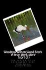 Woodrow Wilson Woodstork A true stork story (sort of): the saving of an endangered bird By Roy Sabean (Illustrator), Karen Baer Aiken Cover Image