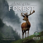 Soul of the Forest 2023 Wall Calendar By Amber Lotus Publishing Cover Image