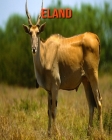 Eland: Amazing Facts about Eland By Devin Haines Cover Image