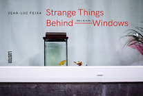 Strange Things Behind Belgian Windows By Jean-Luc Feixa Cover Image