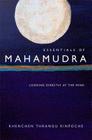 Essentials of Mahamudra: Looking Directly at the Mind Cover Image