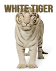 White Tiger: Amazing Pictures & Fun Facts on Animals in Nature By Evan Roth Cover Image