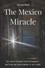 The Mexico Miracle: Our Son's Escape from Kidnappers and How We Found Peace in our Trials By Sheridan Ripley Cover Image