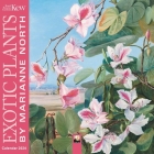 Kew Gardens: Exotic Plants by Marianne North Mini Wall Calendar 2024 (Art Calendar) By Flame Tree Studio (Created by) Cover Image