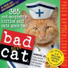 Bad Cat Page-A-Day Calendar 2018 By Workman Publishing Cover Image