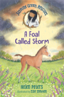 Jasmine Green Rescues: A Foal Called Storm By Helen Peters, Ellie Snowdon (Illustrator) Cover Image